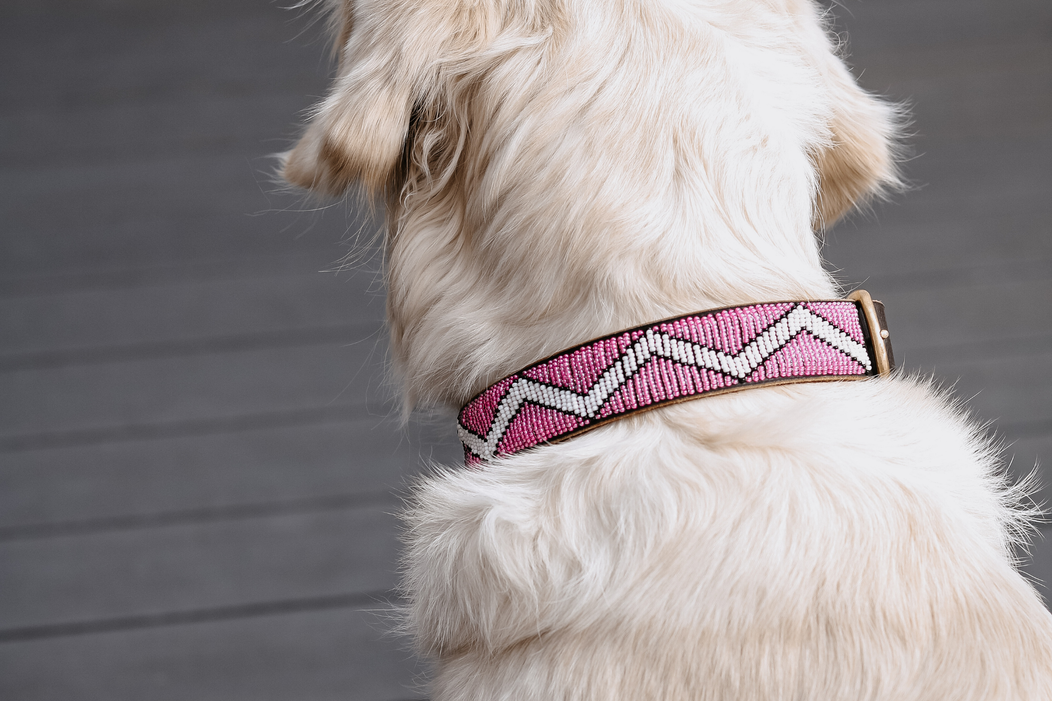 Beaded Collar | Motherland