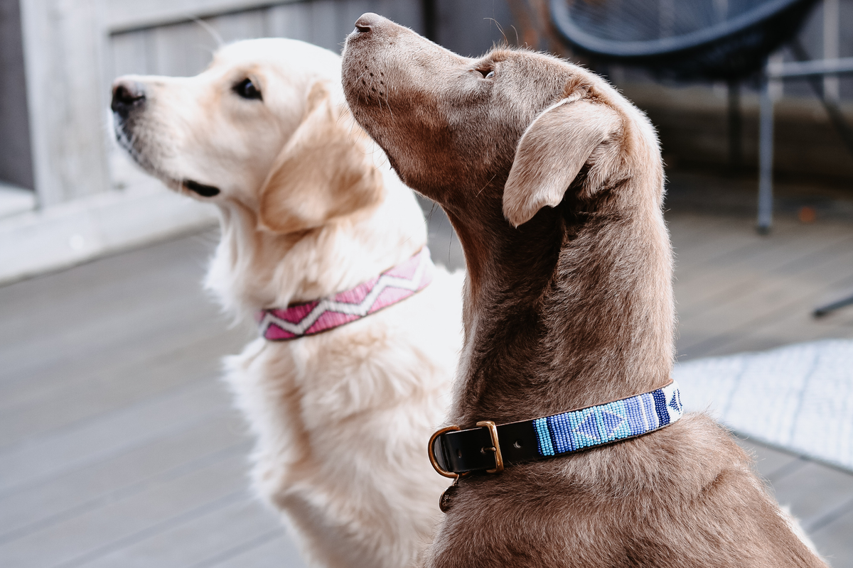 Beaded Collar | Blue Ocean