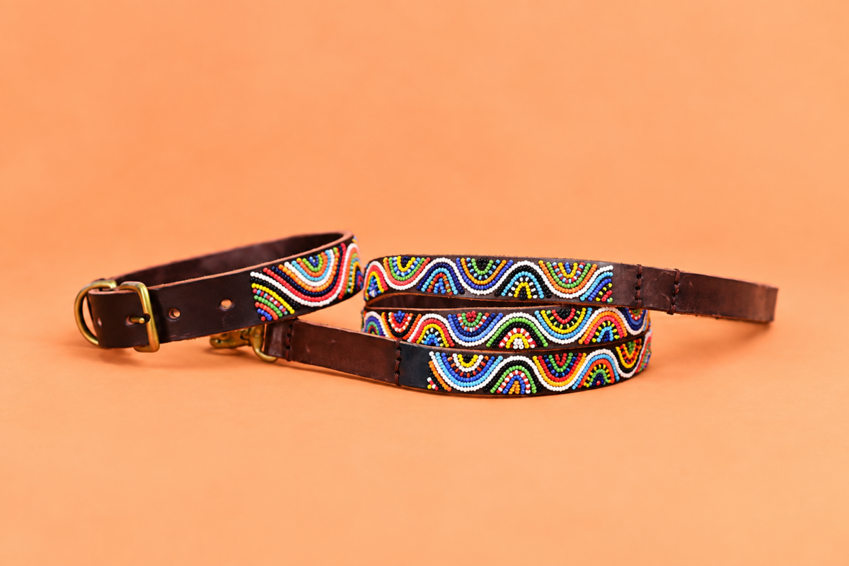 Beaded Leash | Rainbow Wave