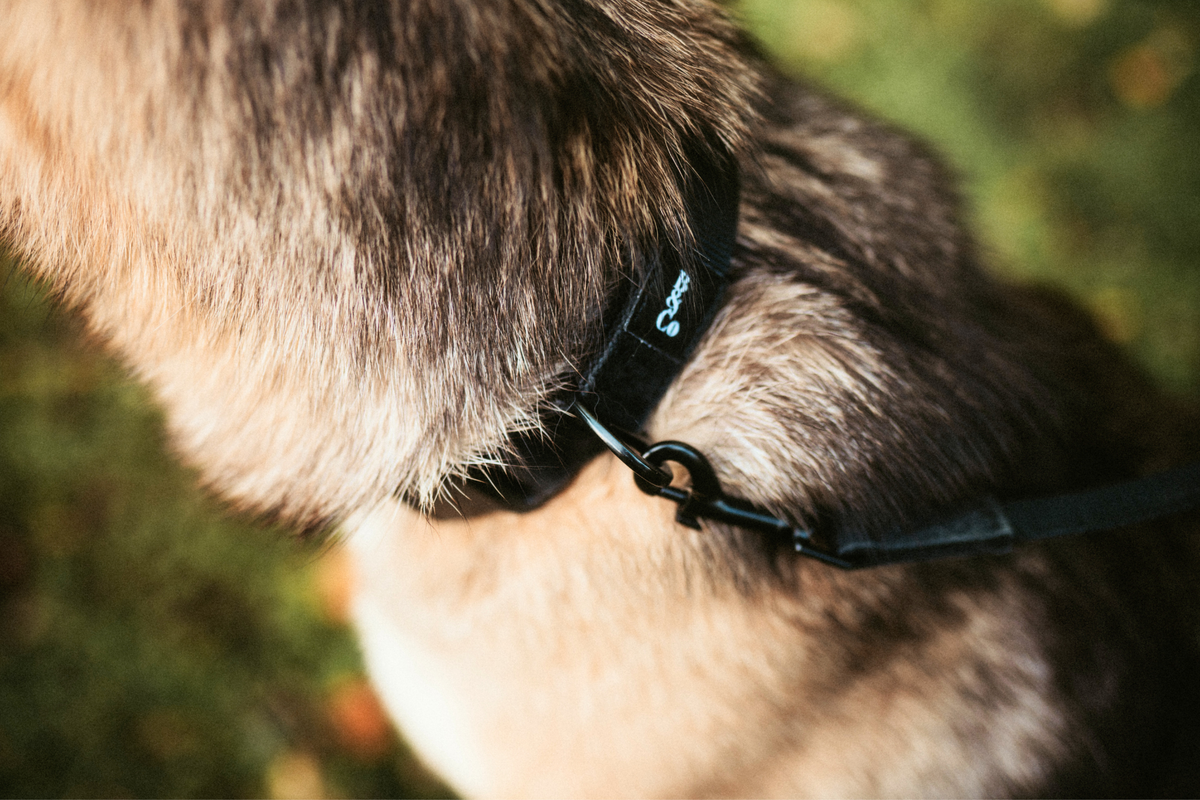 Streetstyle Collar in Black