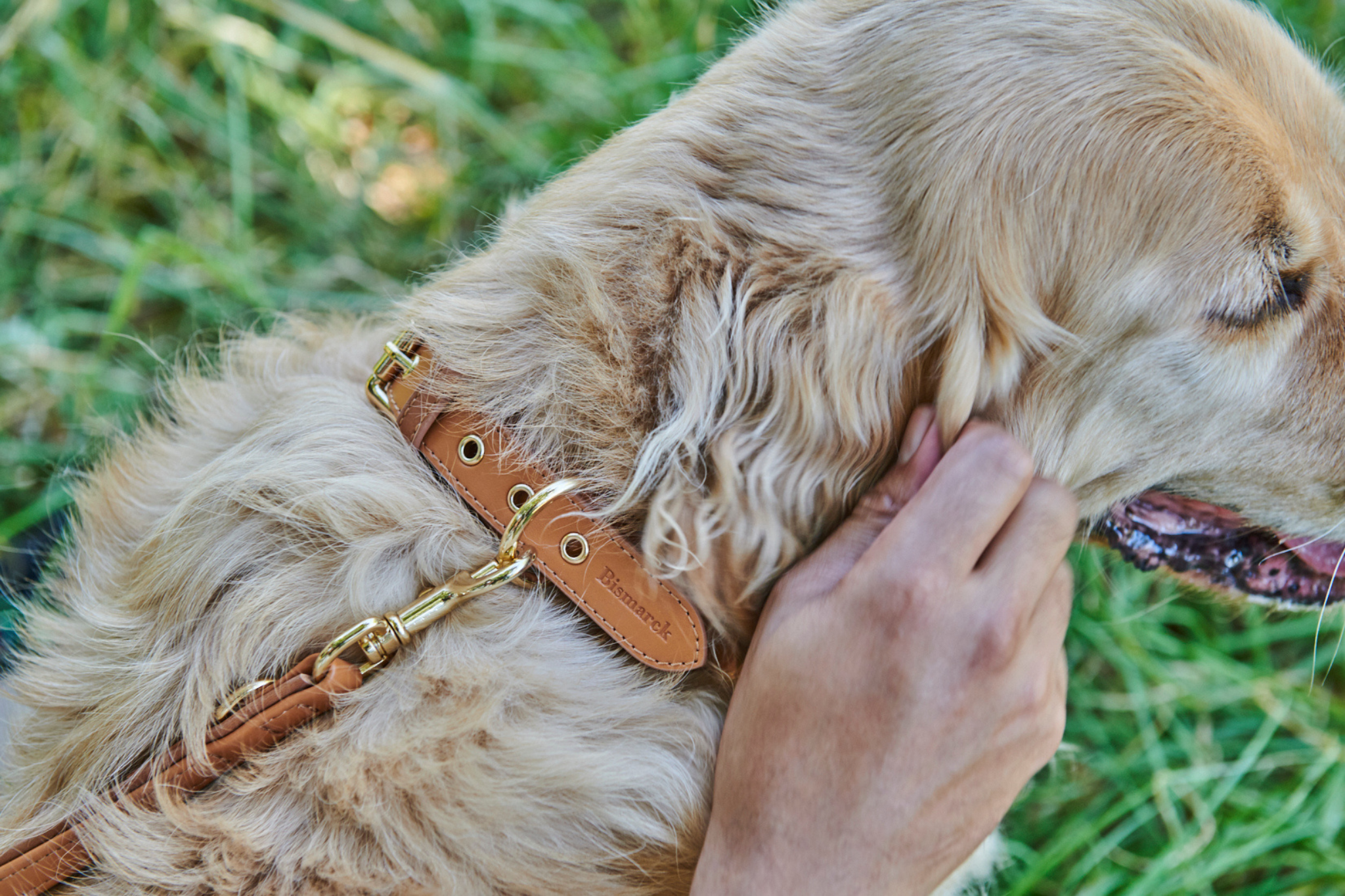 Apple Leather Collar in Camel