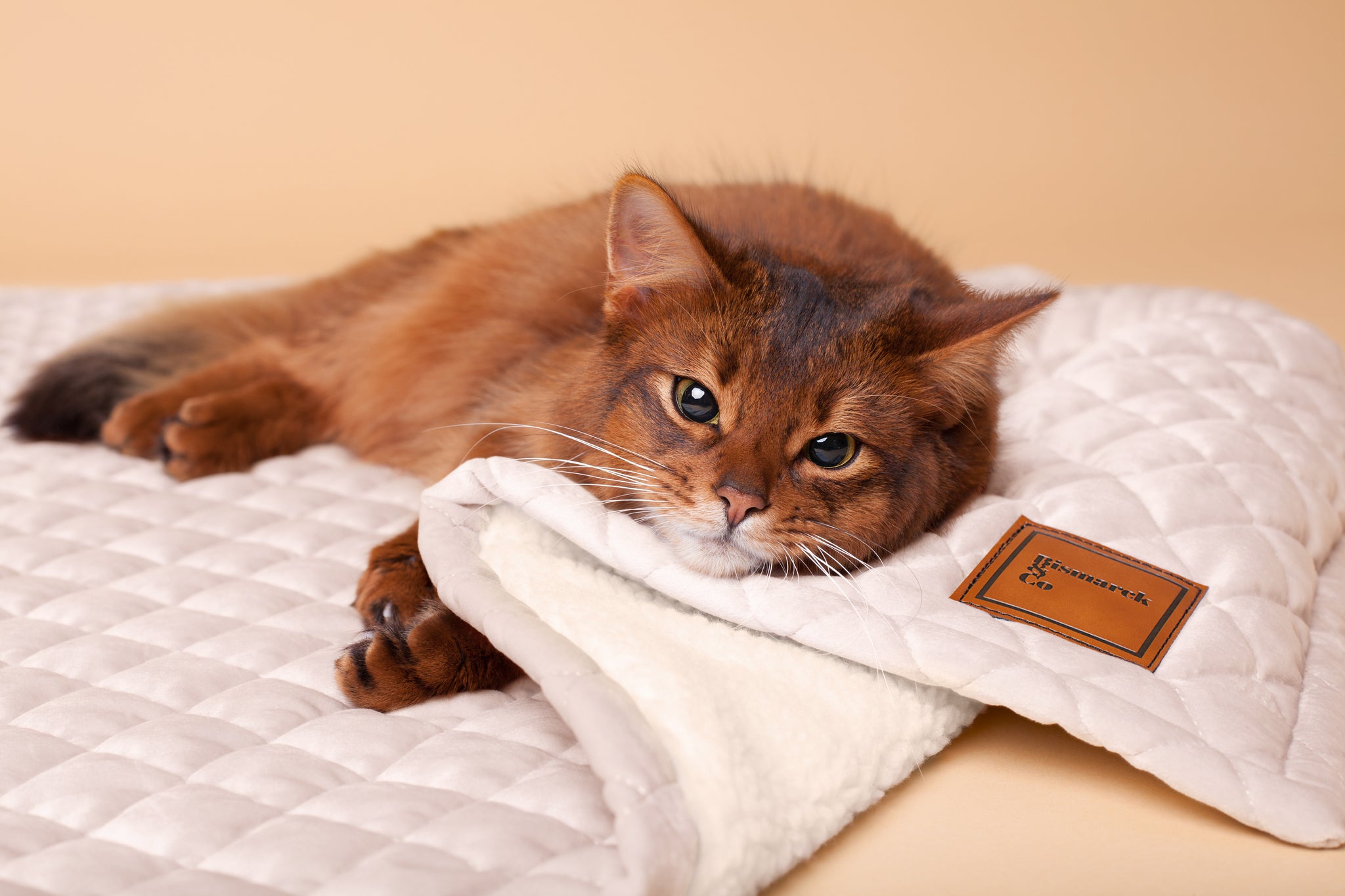 Quilted Velvet & Sherpa Mat in Light Caramel