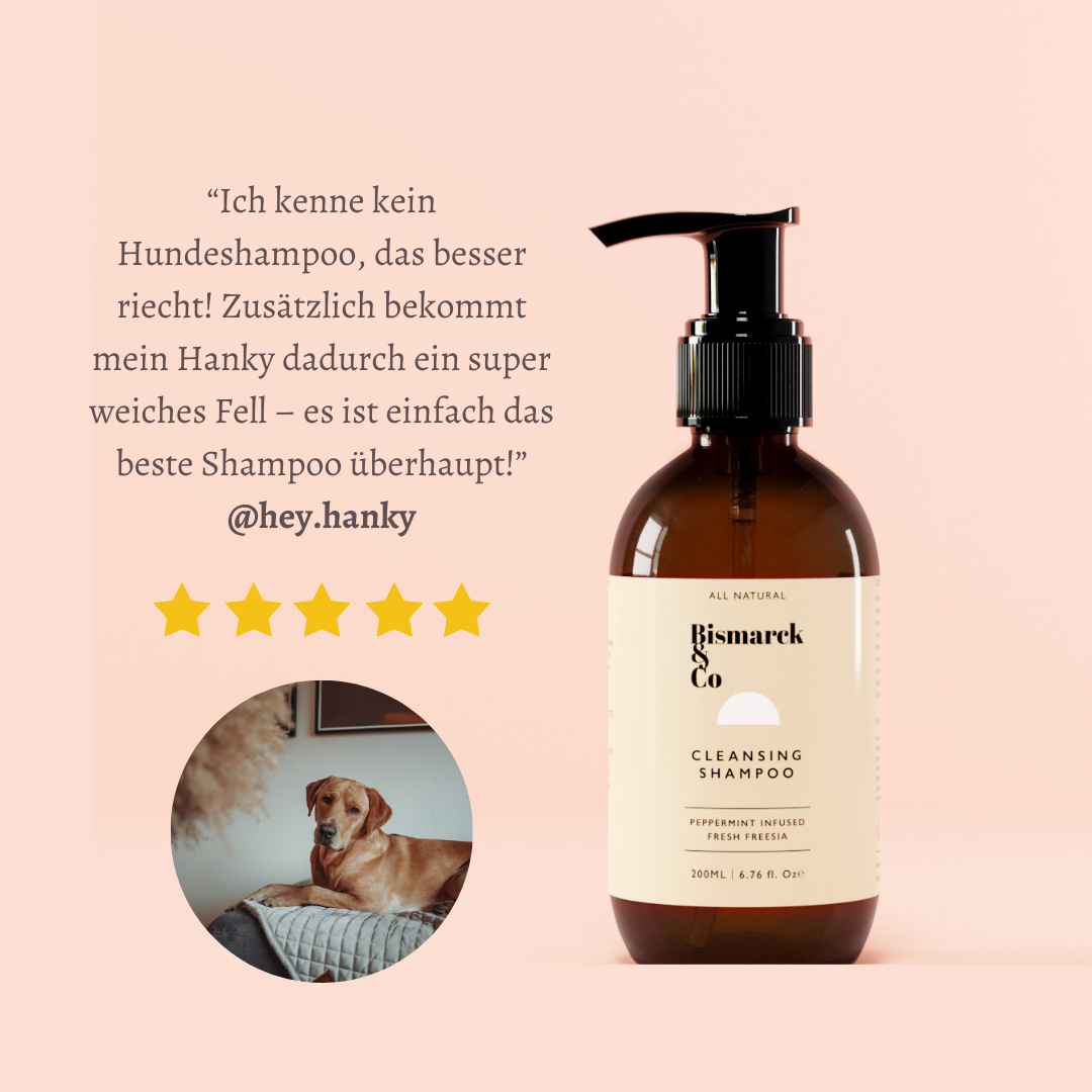 Natürliches Pflegeshampoo