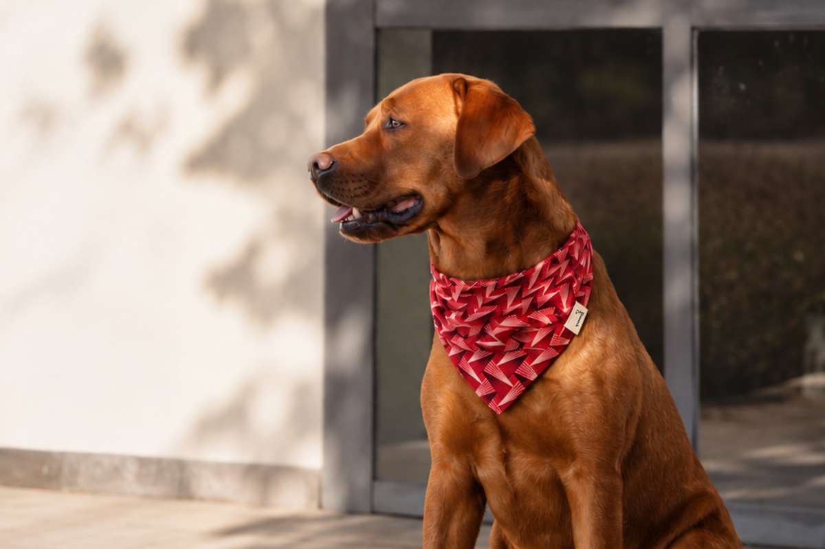 Bandana in Kiefernrot