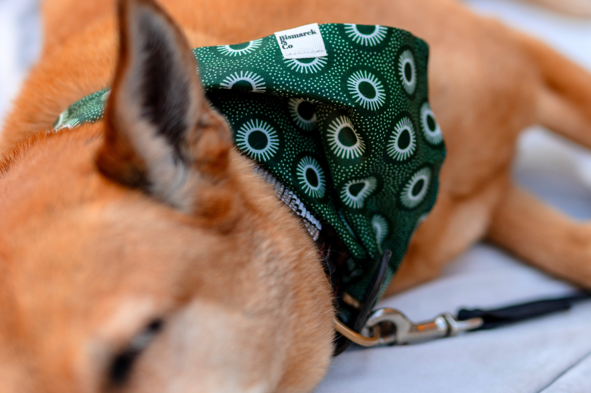Bandana & Scrunchie in Wintergrün