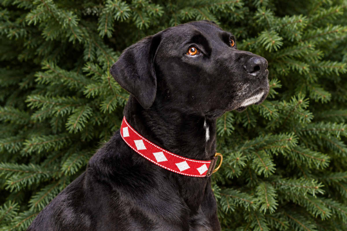 Beaded Collar | Red & White