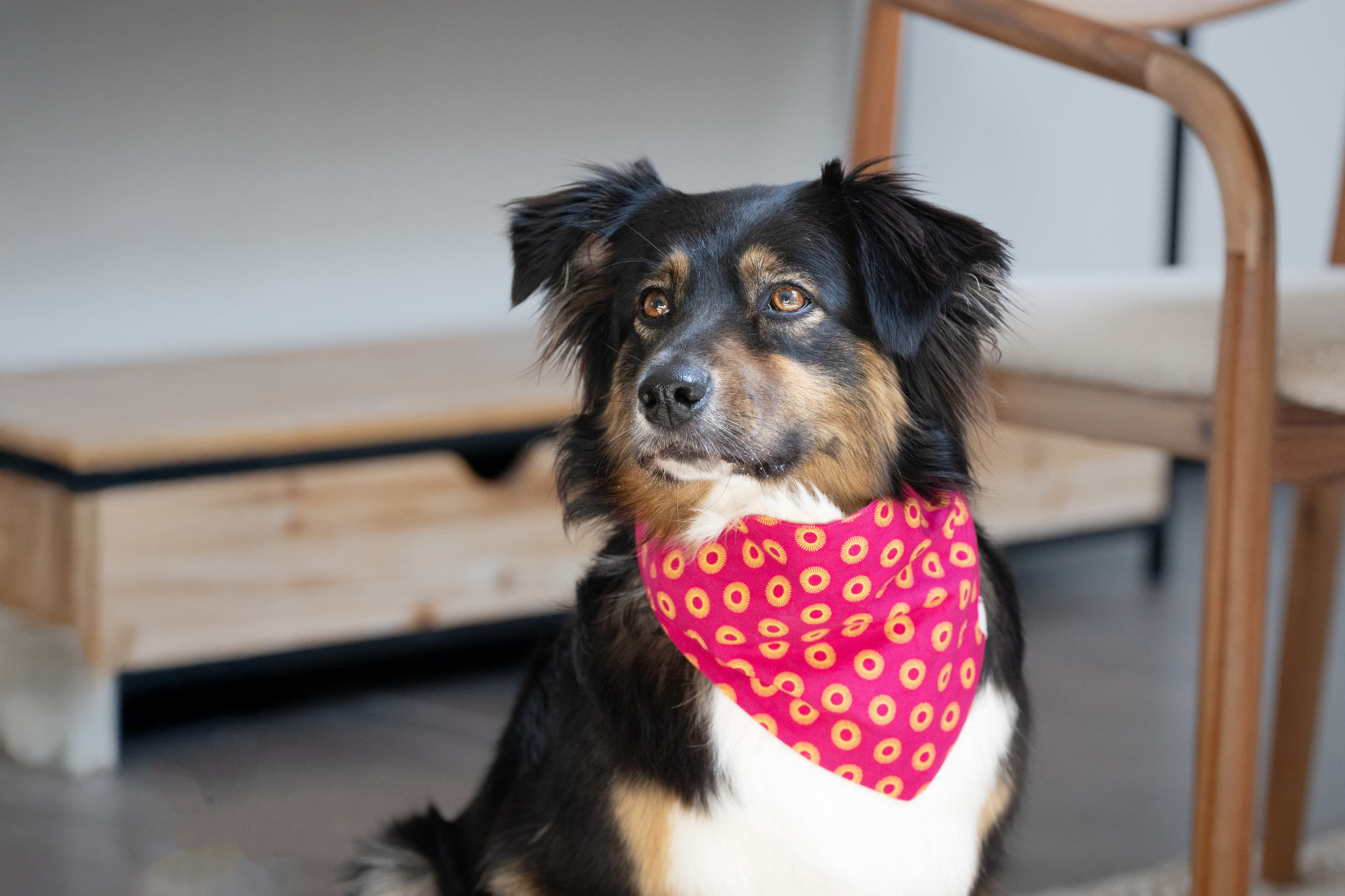 Bandana in Pink Shweshwe