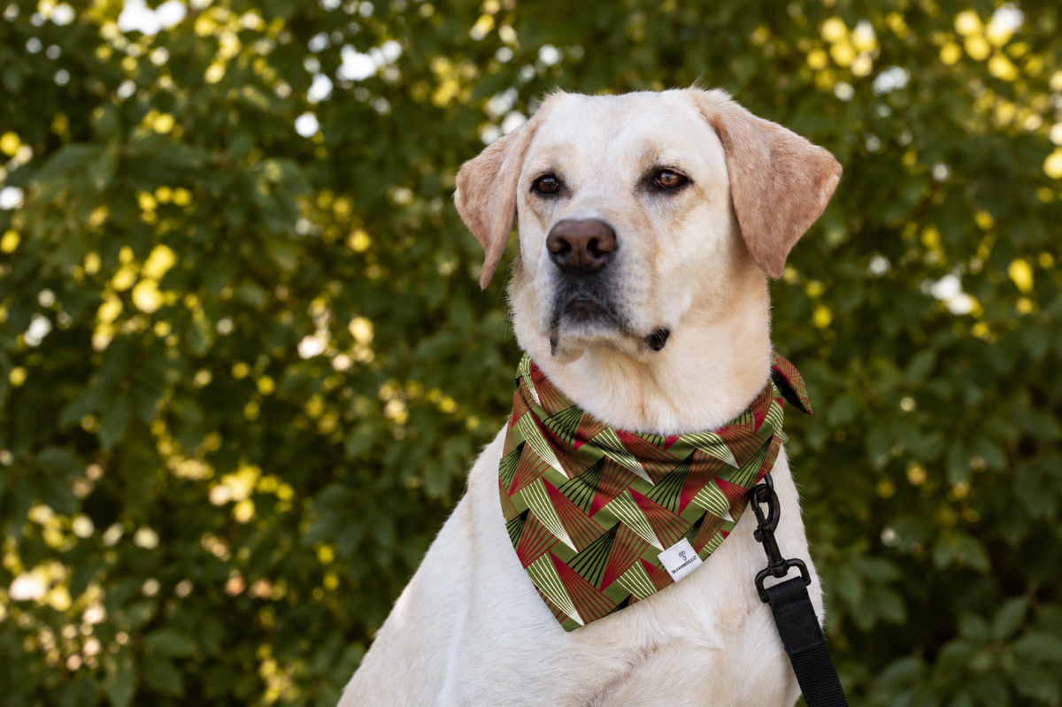Bandana in Green Pine