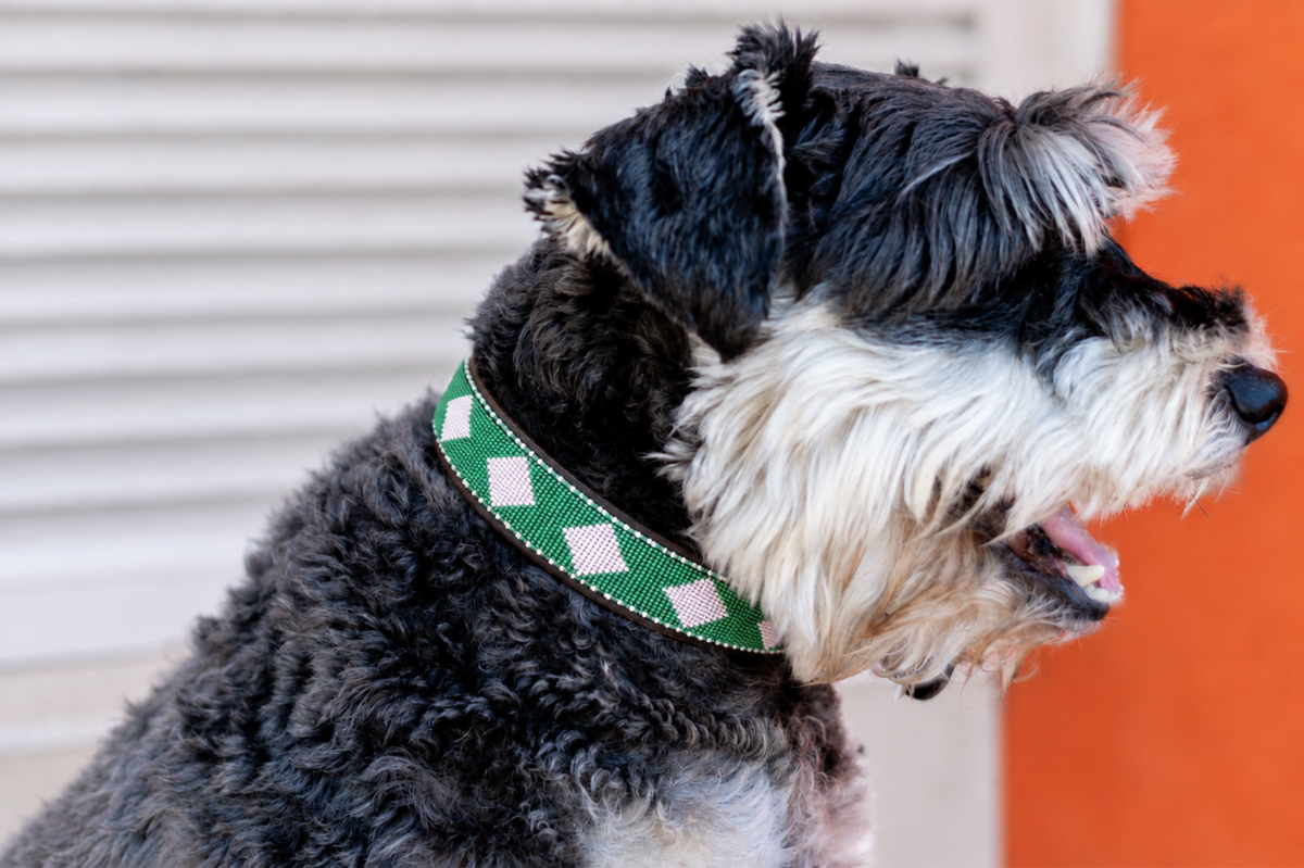 Beaded Collar | Green & White