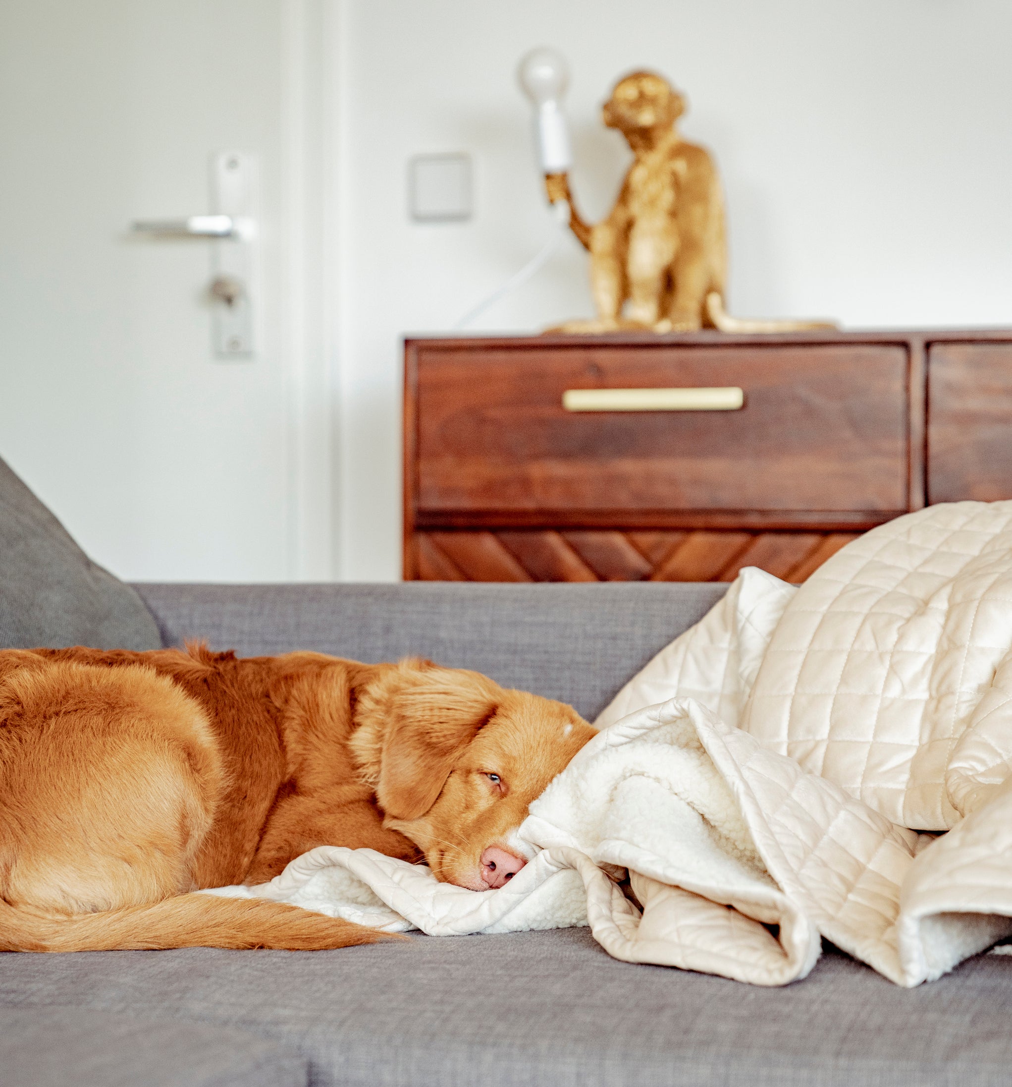 Gesteppte Samt-Sherpa-Matte in Karamell