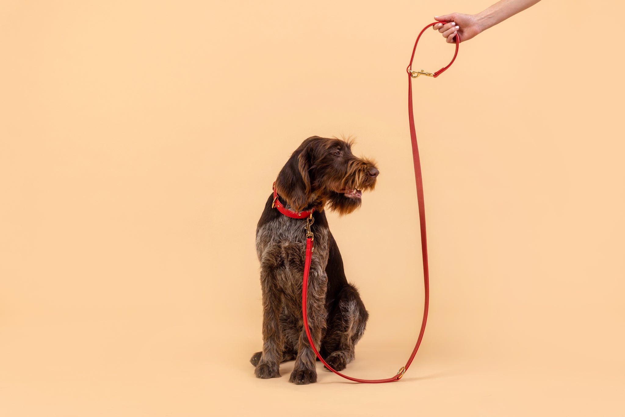 Apple Leather Leash in Festive Red