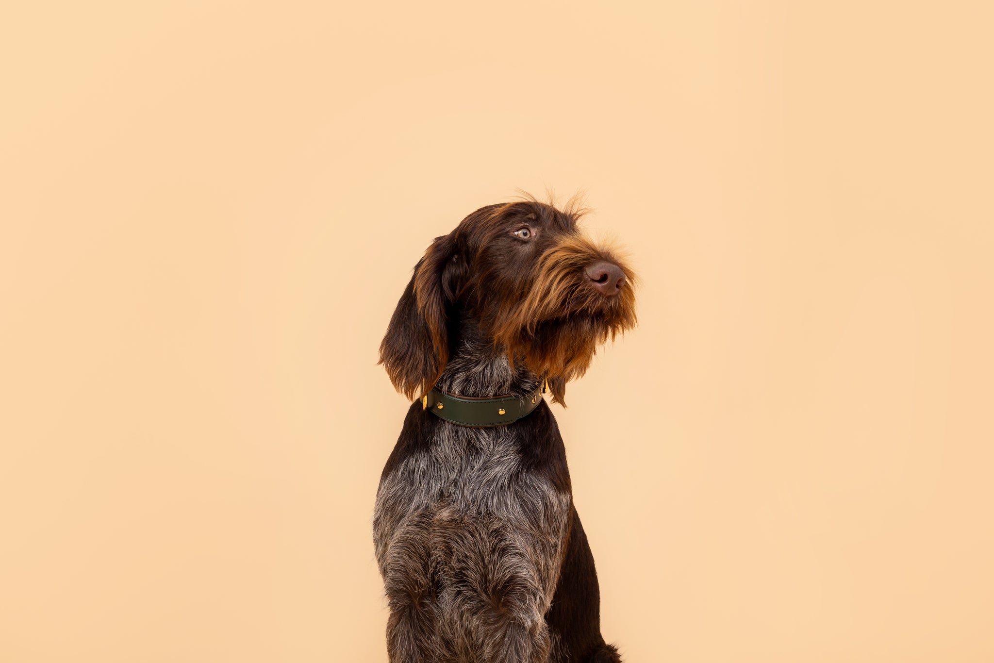 Apple Leather Collar in Winter Green