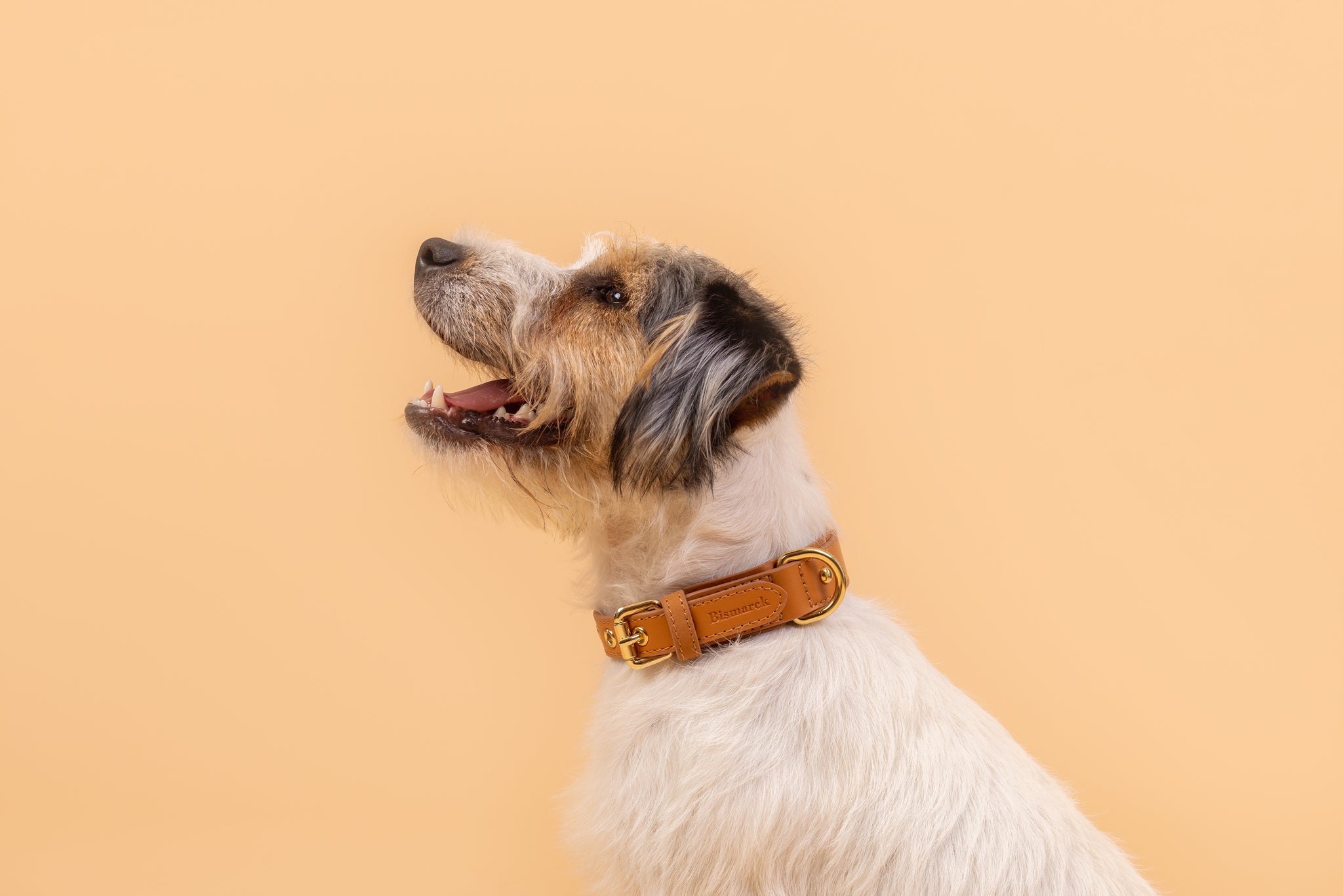 Apple Leather Collar in Camel