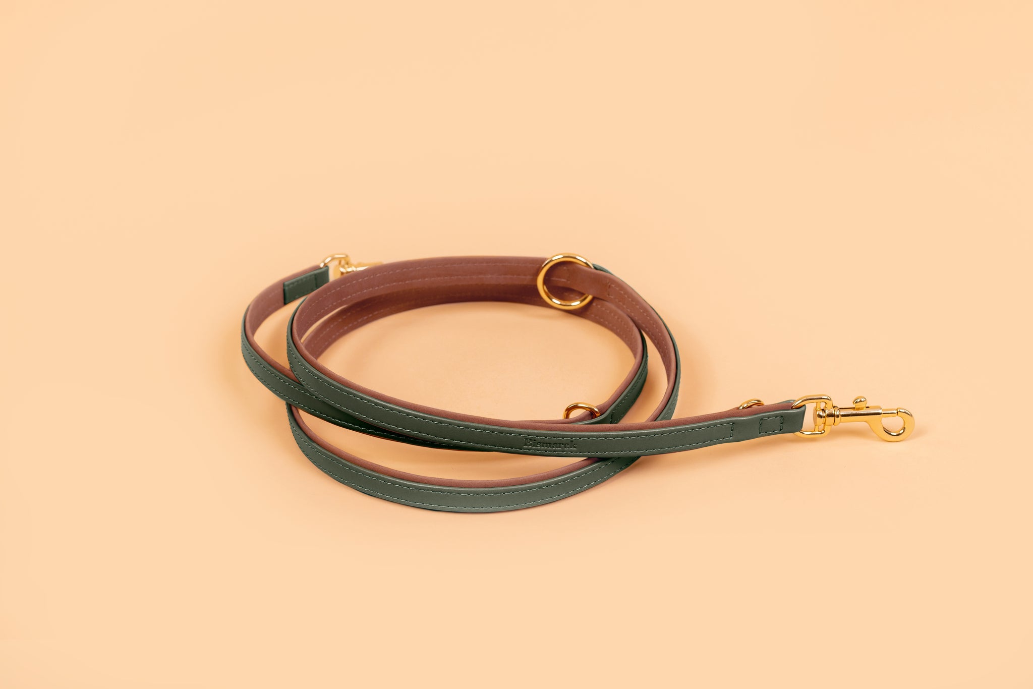 Apple Leather Leash in Winter Green