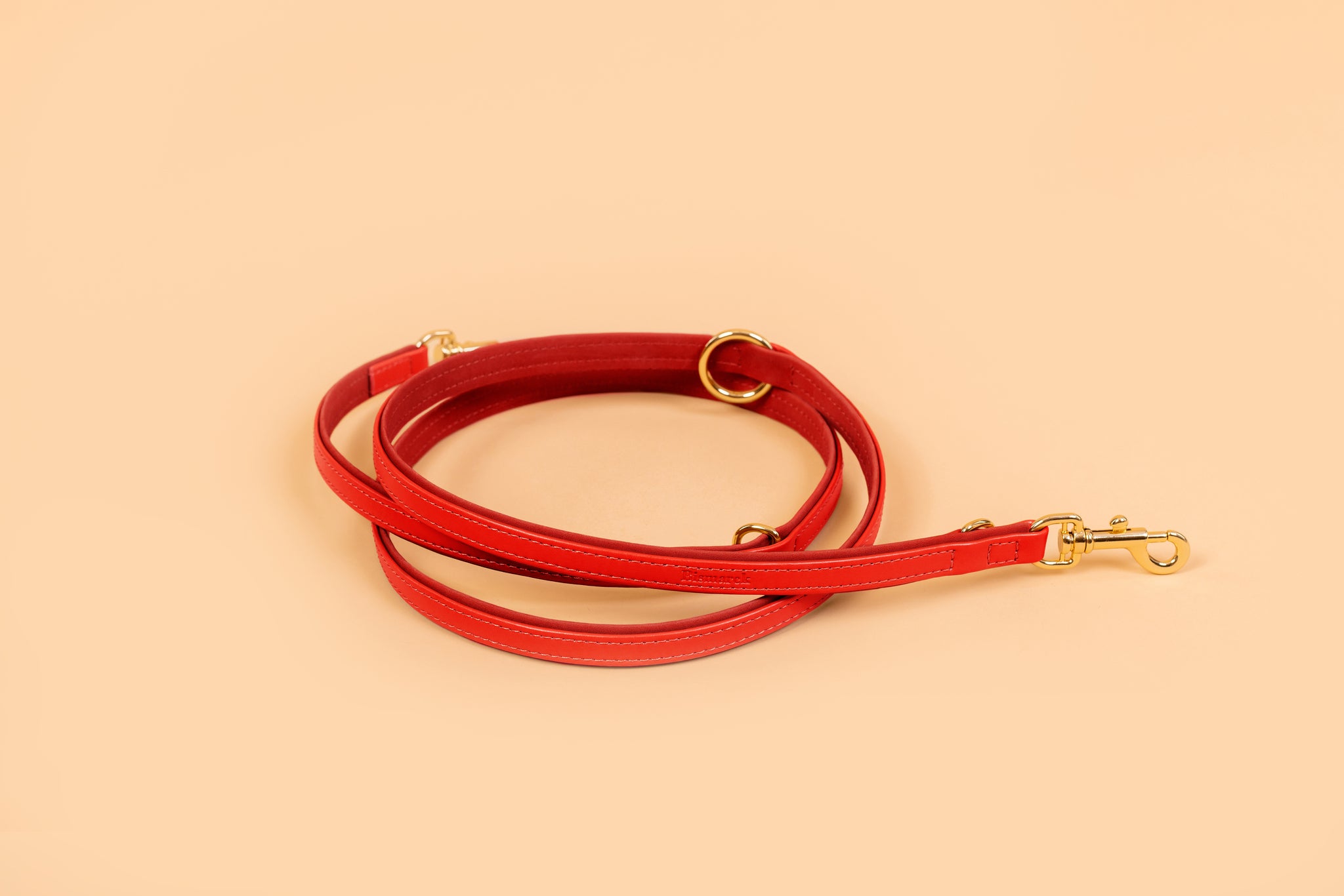 Apple Leather Leash in Festive Red