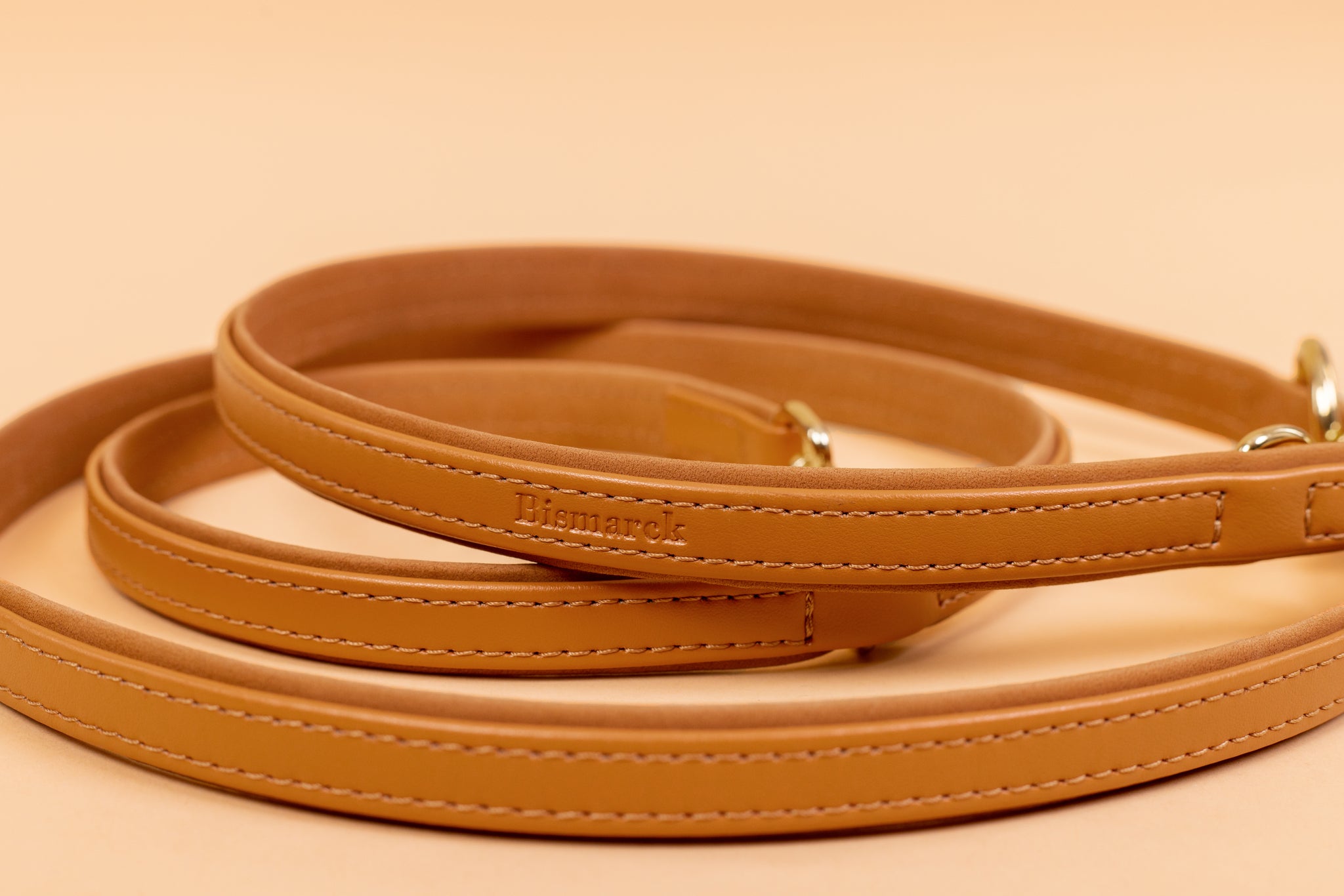 Apple Leather Leash in Camel