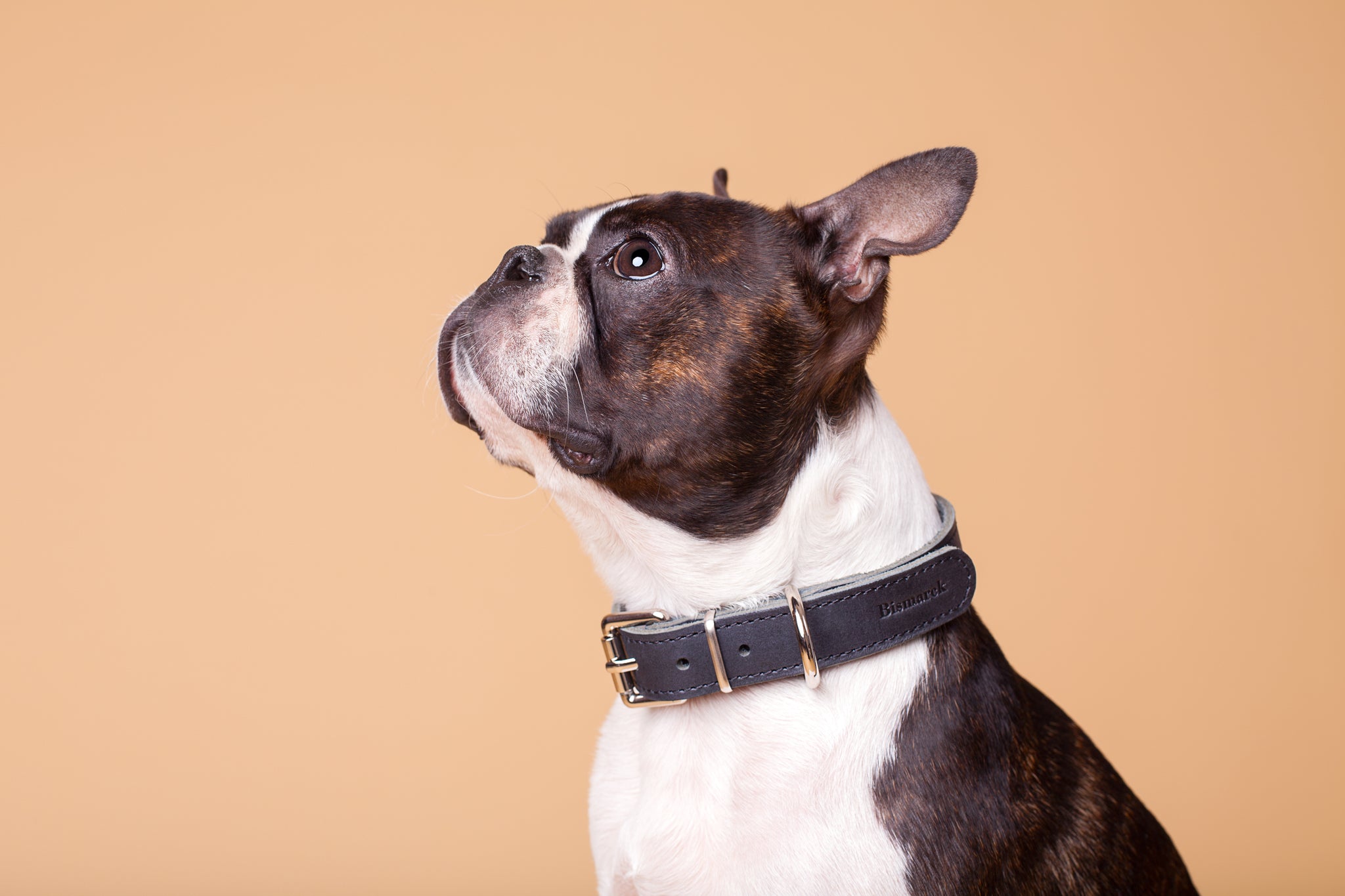 Smooth Collar in Black