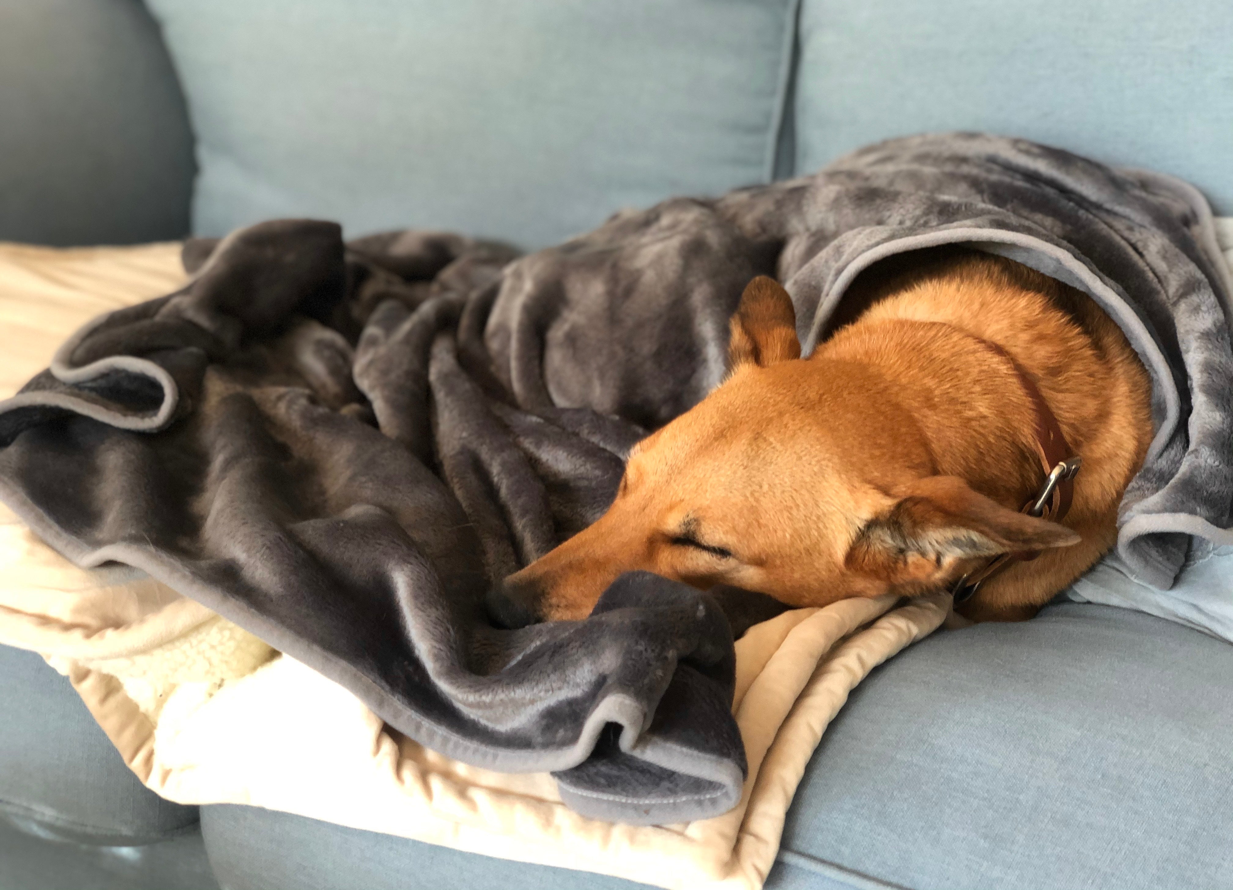 Soft Fleece Blanket in Dark Grey