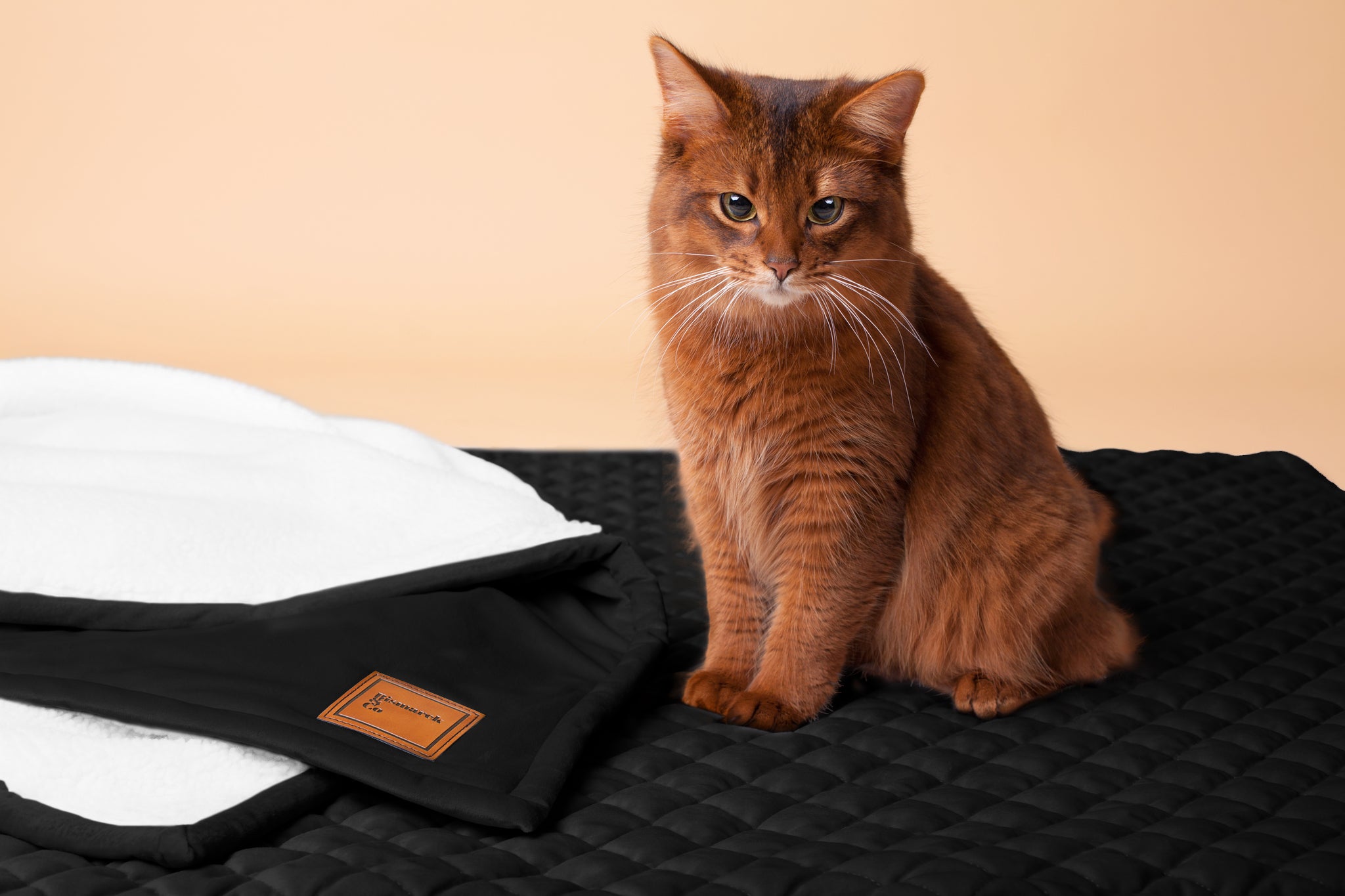 Gesteppte Samt-Sherpa-Matte in Schwarz