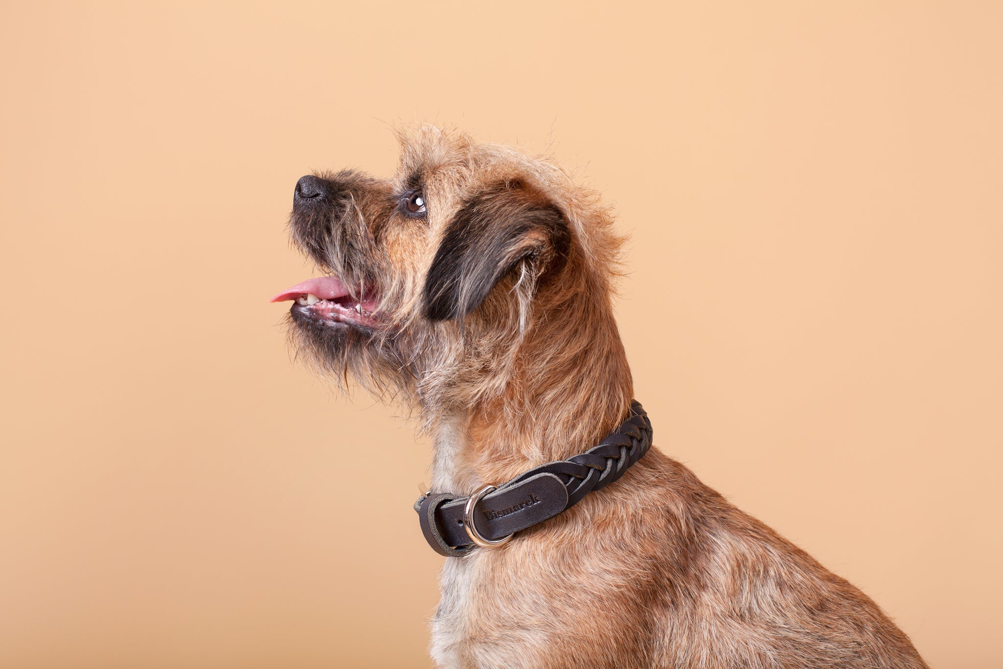 Plaited Leather Collar in Black