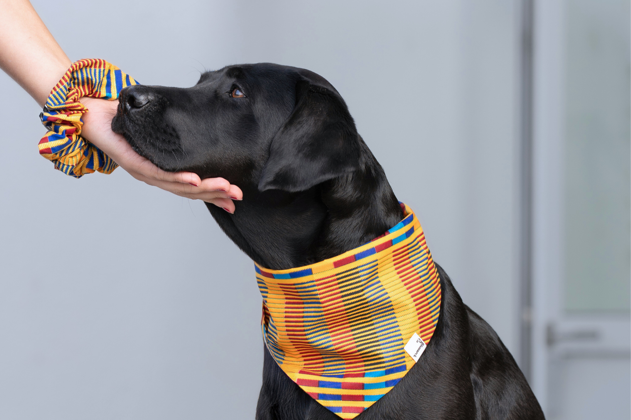 Bandana & Scrunchie Set Afrikanische Sonne