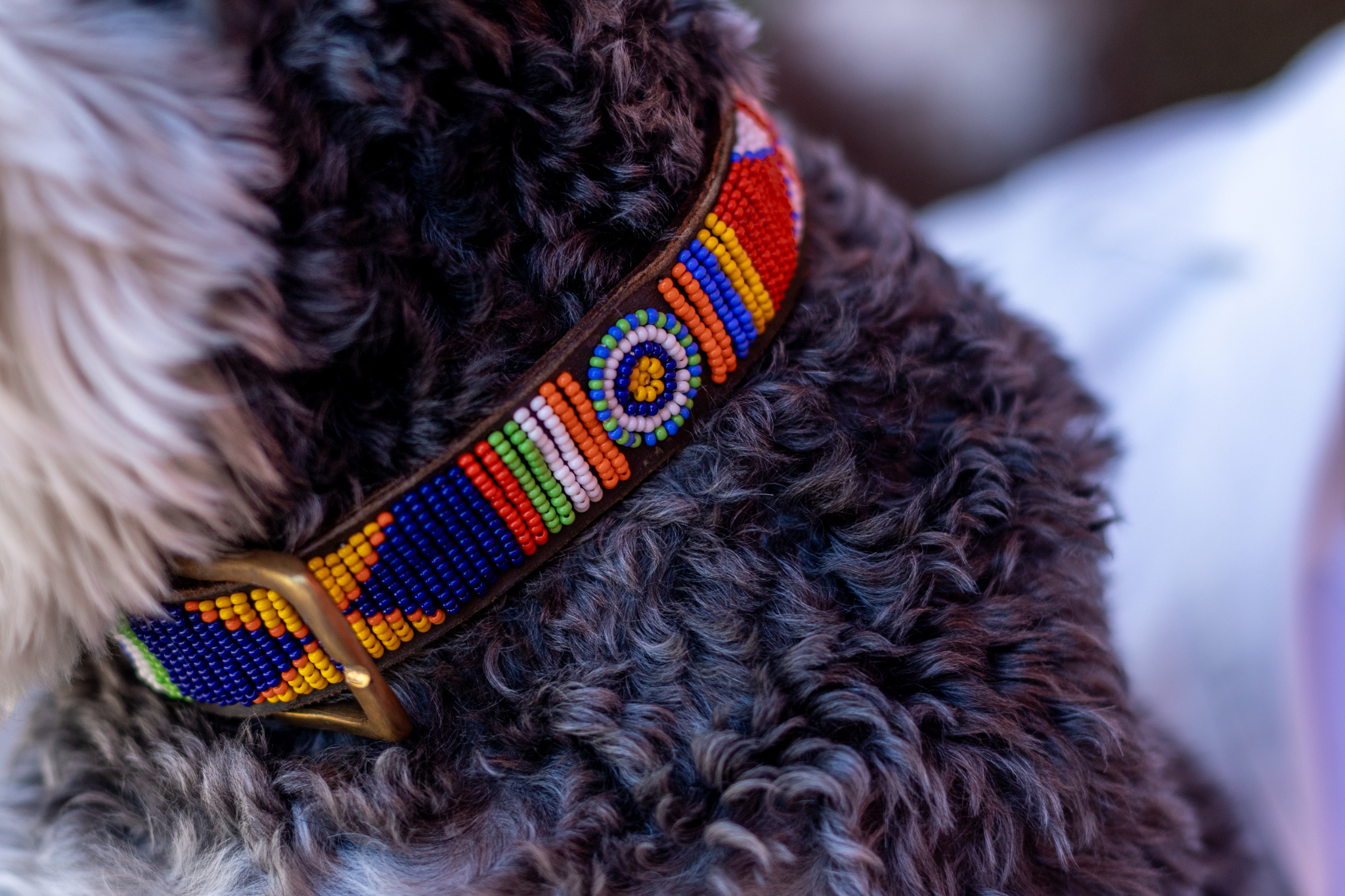 Beaded Collar | Mountains & Rivers