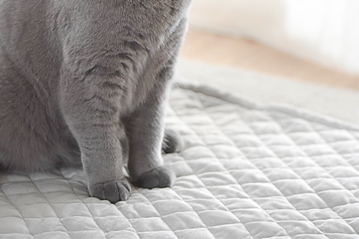 Quilted Velvet & Sherpa Mat in Light Grey