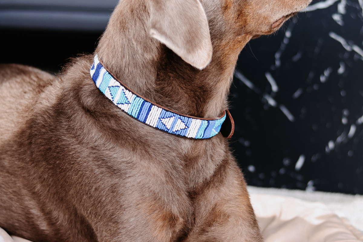 Beaded Collar | Blue Ocean
