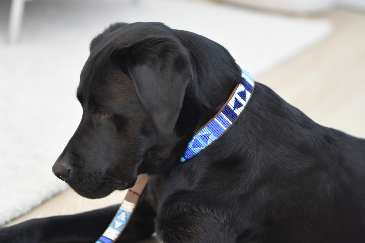 Beaded Collar | Blue Ocean