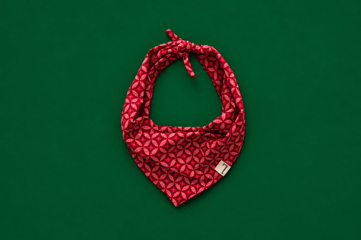 Bandana in Festive Red
