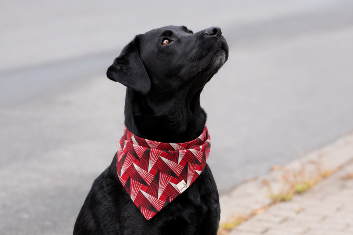 Bandana in Kiefernrot
