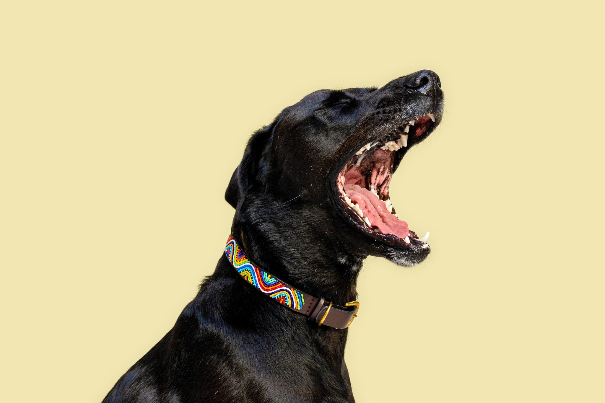 Perlenhalsband | Rainbow Wave