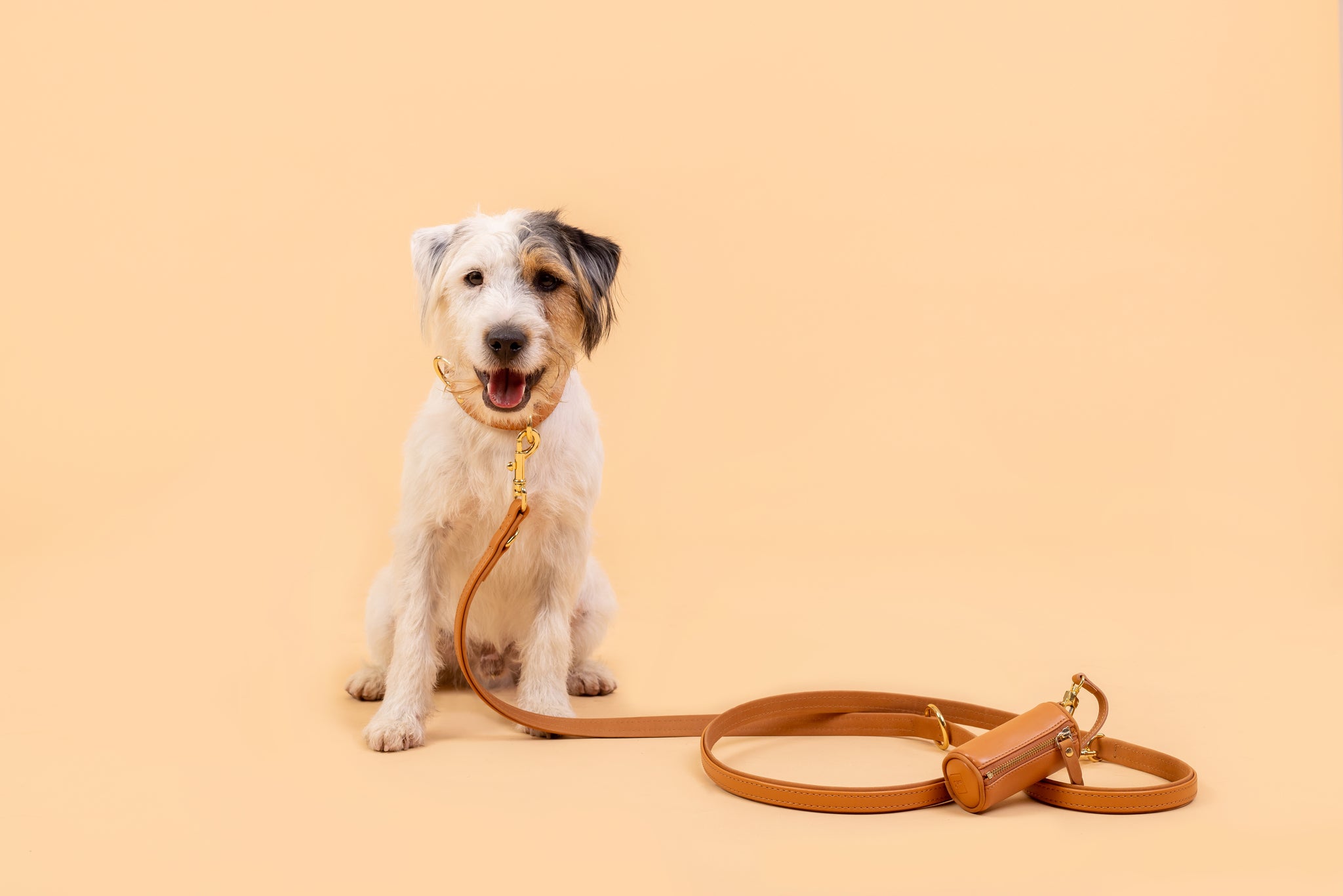 Apple Leather Leash in Camel
