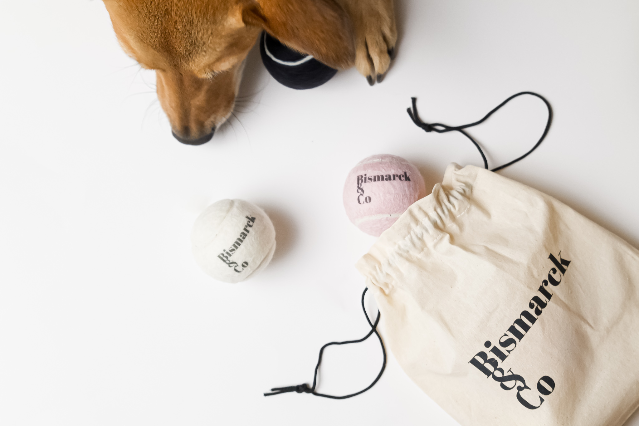 Tennisbälle für Hunde | 3er Set
