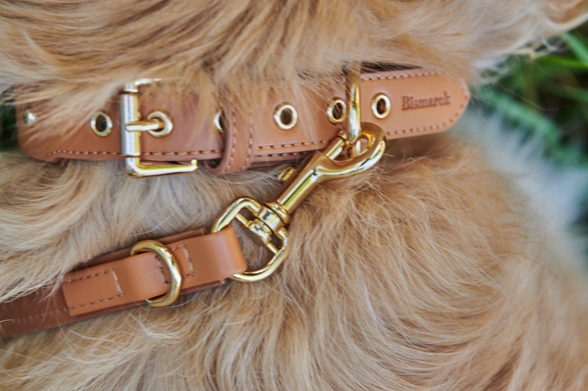 Apple Leather Leash in Camel